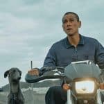 Black dog. Un uomo, un cane e mille avventure