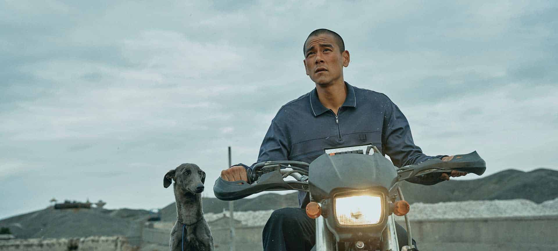 Black dog: un incredibile film in uscita il 27 febbraio 2025