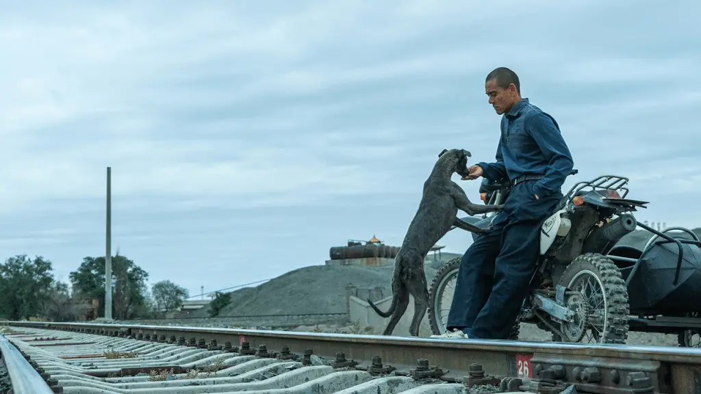 Black dog: un incredibile film in uscita il 27 febbraio 2025