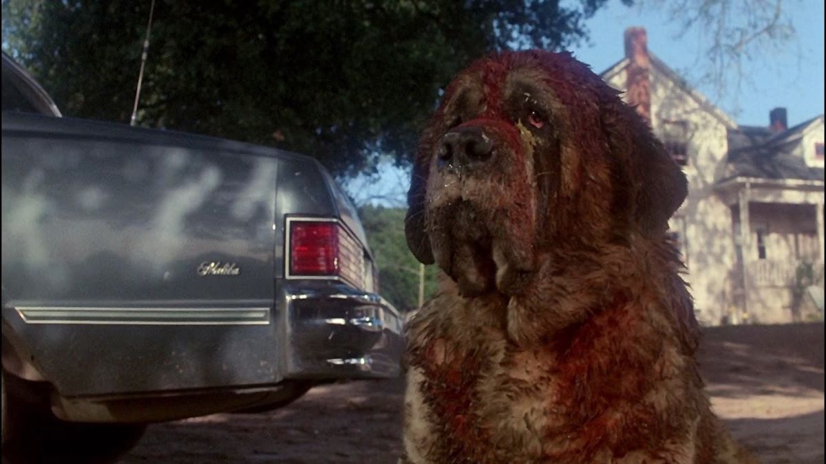 Cujo: in arrivo un remake prodotto da netflix