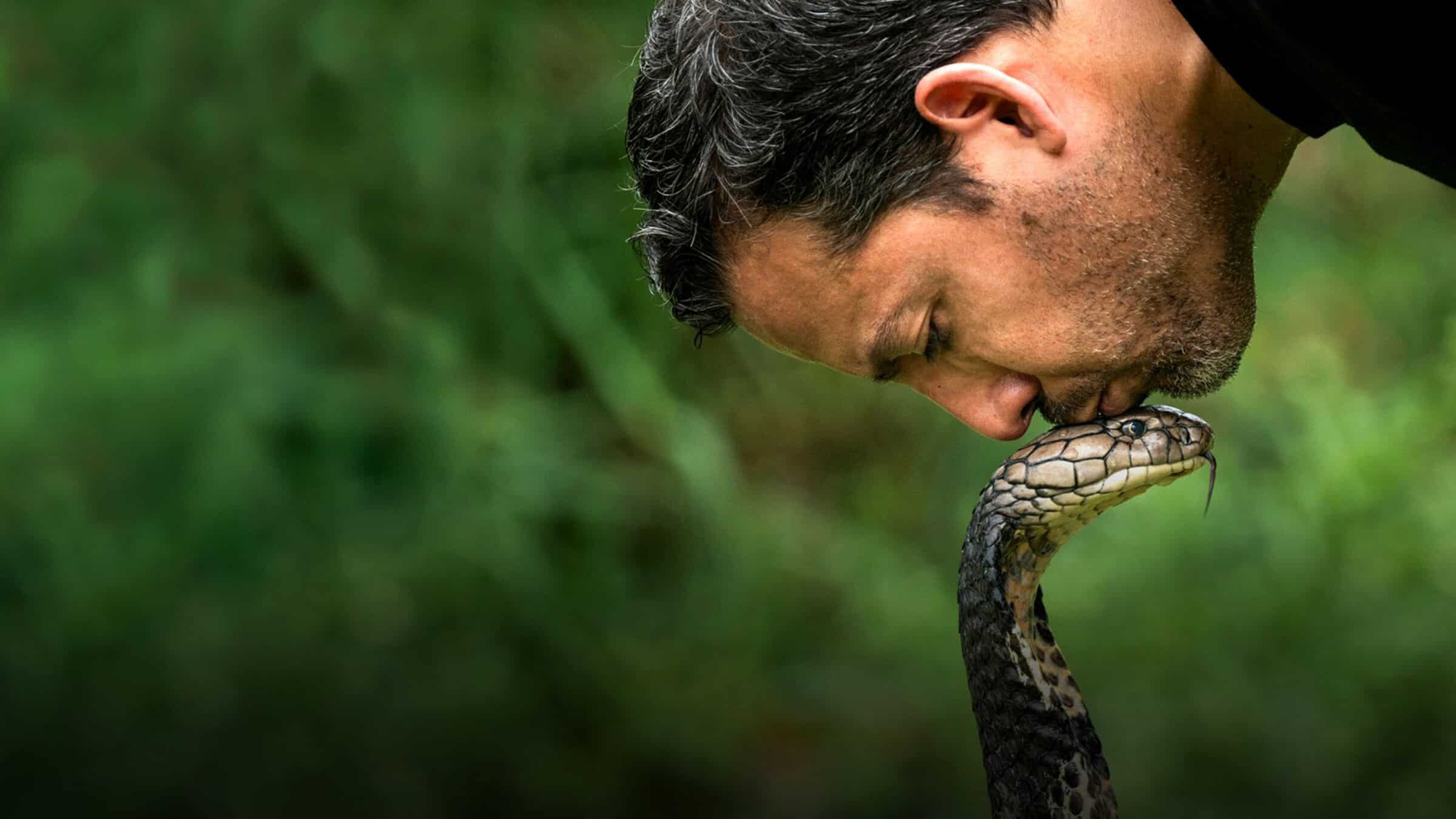 David blaine non fatelo a casa su disney +