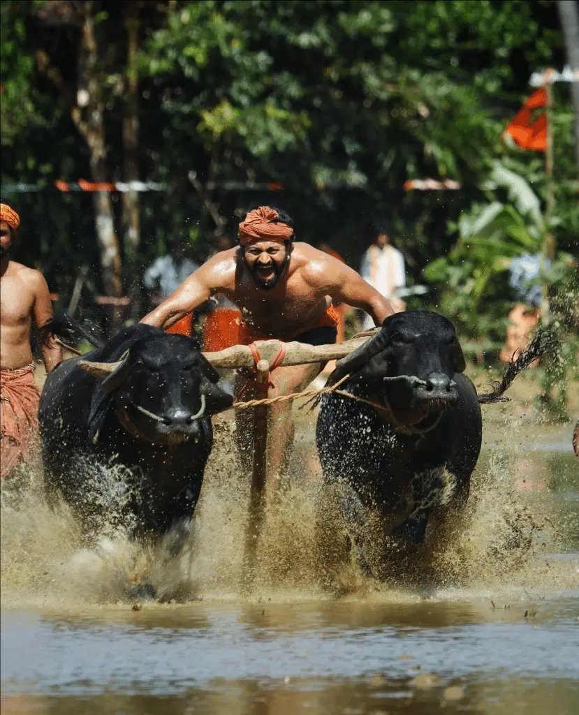 Indian film festival 2 edizione