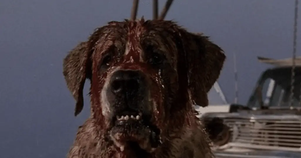 Cujo (1983)