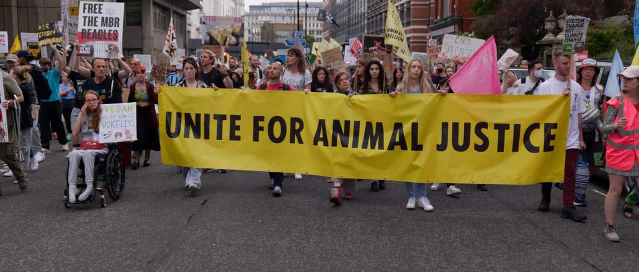 Thomas pickering dal 30 marzo al cinema con non sarò mai vegano