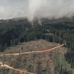Il codice del bosco al cinema dal 5 maggio