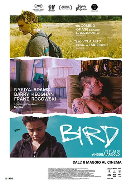 La prossima settimana al cinema Bird
