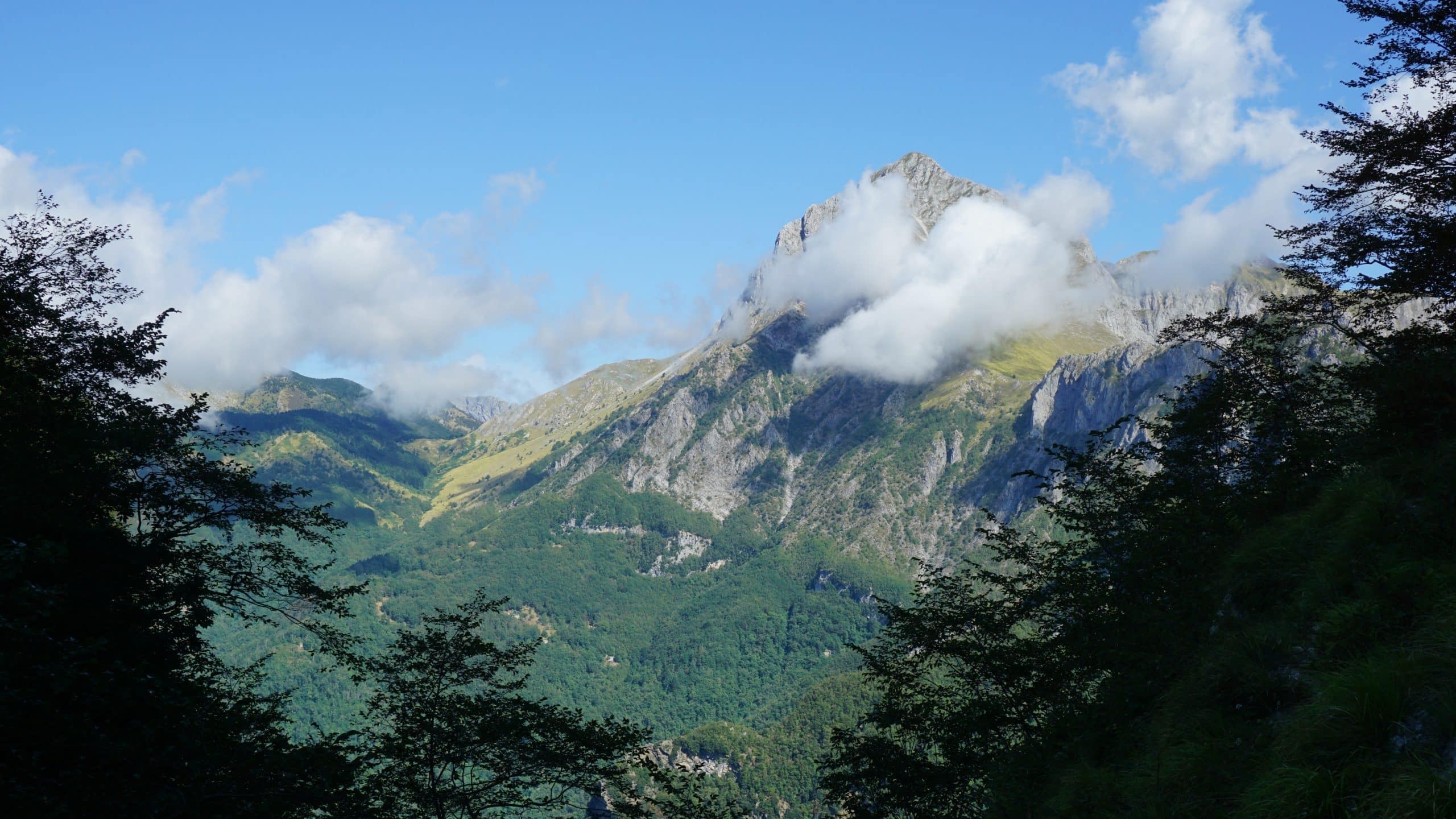 Tra natura e quota-giovanni storti sopravvive alle alpi apuane in anteprima al tff
