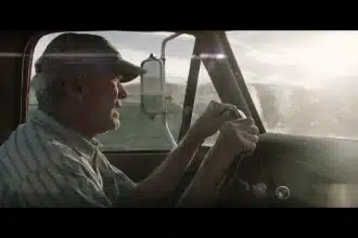 Il corriere- the mule