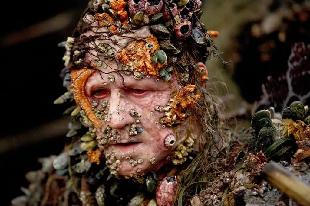 Pirati dei caraibi stellan skarsgard