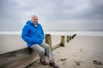 I segreti dell'oceano con david attenborough