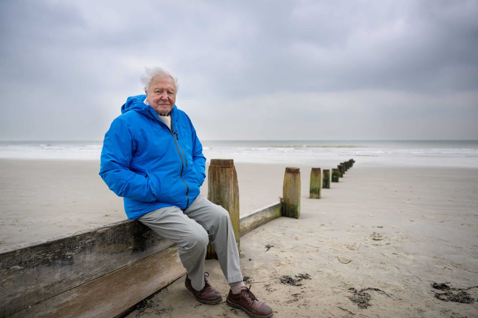 David attenborough presenta i segreti dell’oceano