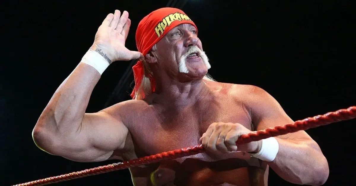 Hulk hogan filmografia