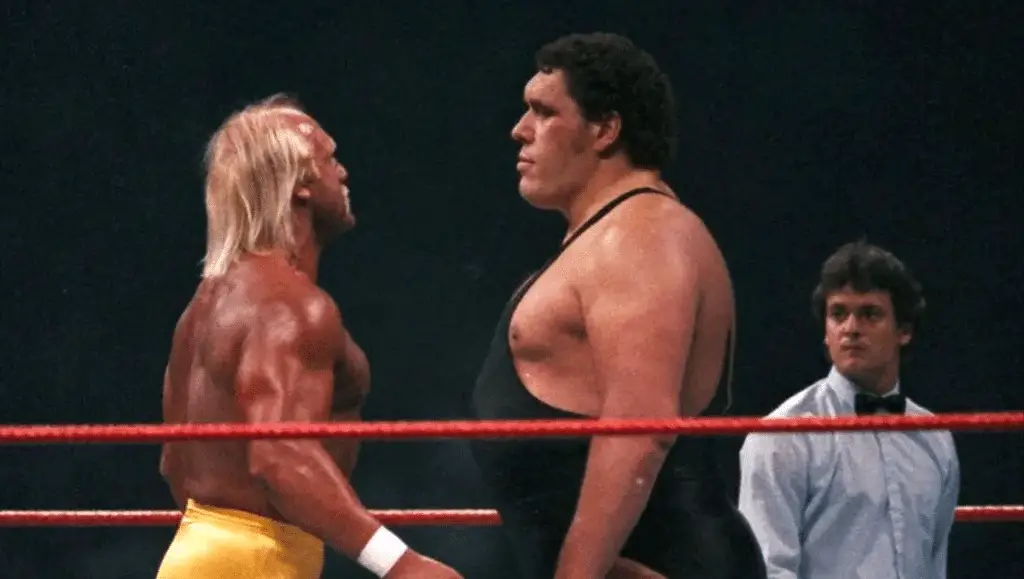 Hulk hogan: l'iconico wrestler e il cinema Hulk hogan e andré the giant