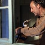 Il mio amico pinguino: il trailer e il poster