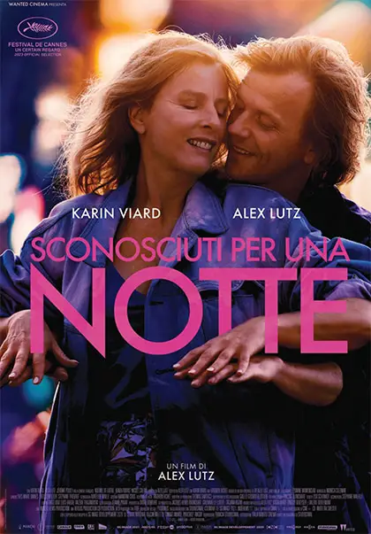Sconosciuti per una notte