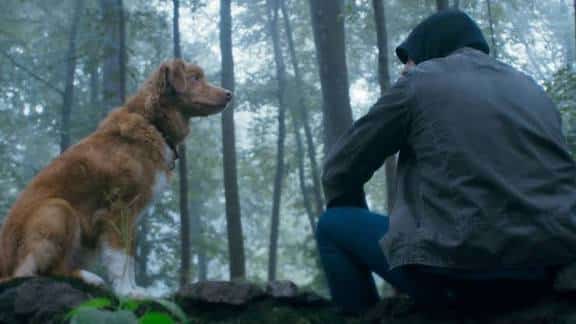 Good boy di ben leonberg è il film d'apertura di alice nella città 2025