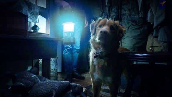 Good boy di ben leonberg è il film d'apertura di alice nella città 2025