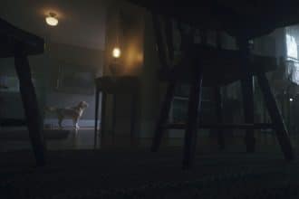 Good boy in streaming