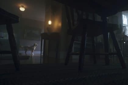 Good boy in streaming