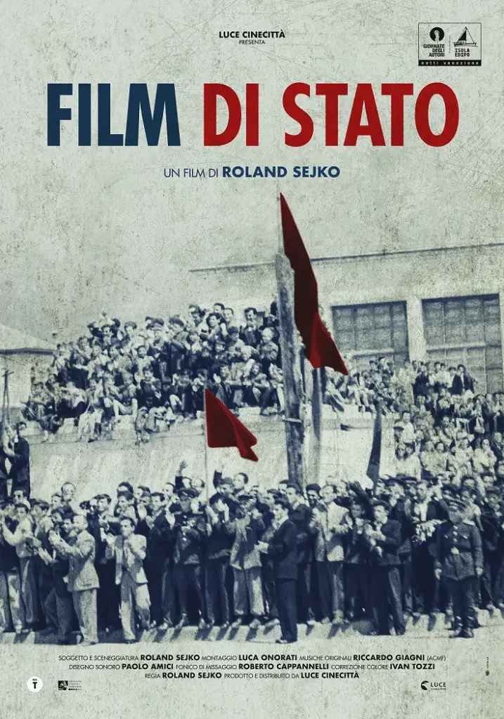 Film di stato poster