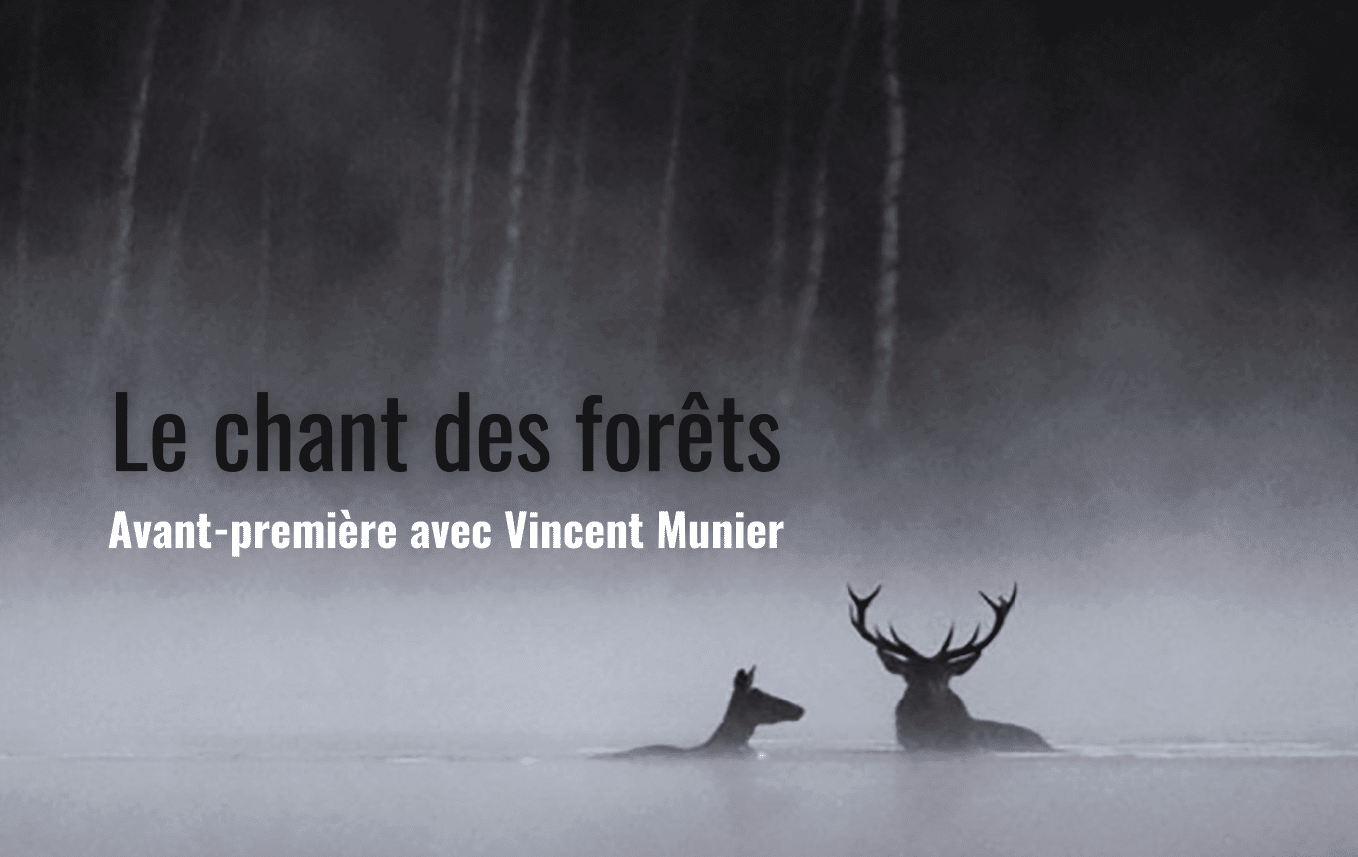 Whispers in the Woods, fenomenale docufilm a Roma 2025