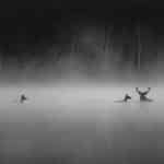 Whispers in the woods, fenomenale docufilm a roma 2025
