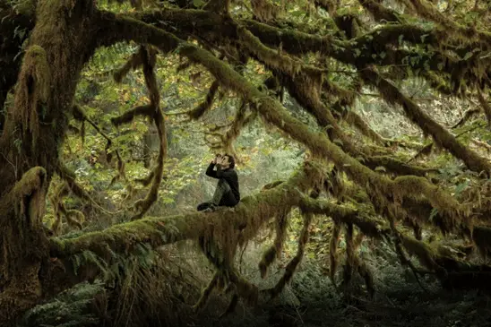 Whispers in the Woods, fenomenale docufilm a Roma 2025