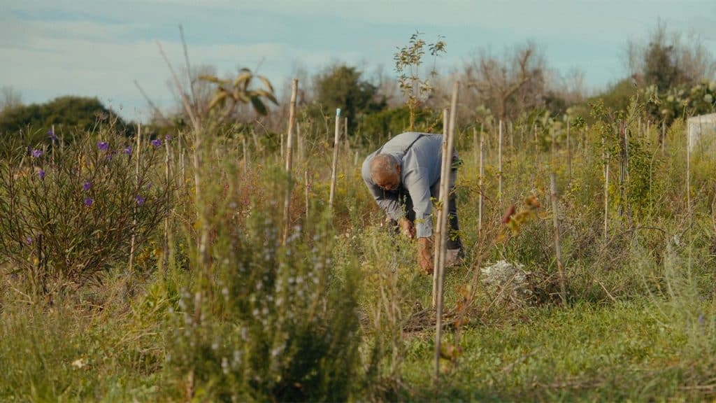 Lo schermo dell'arte