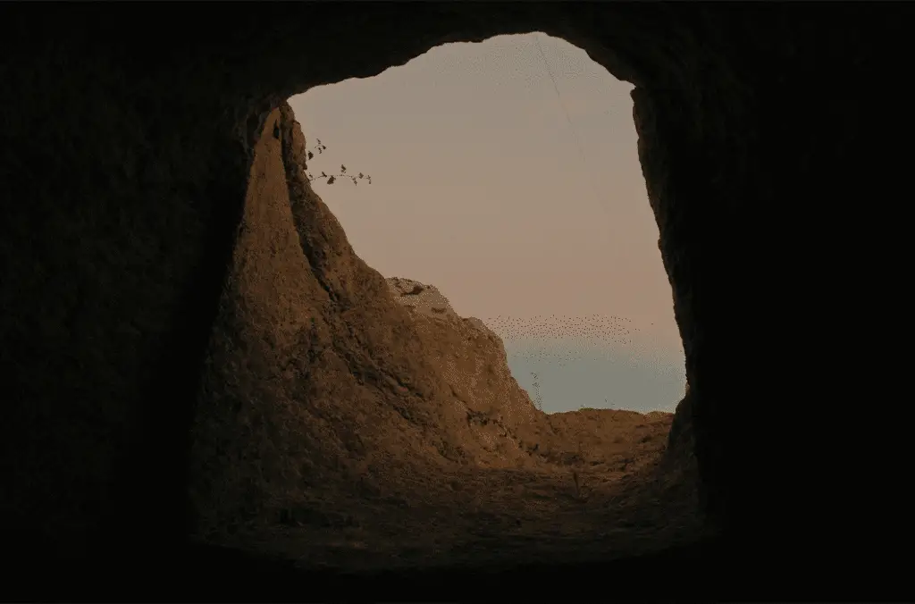 Lo schermo dell'arte. Diversi modi di rappresentare il mondo contemporaneo su mymovies one