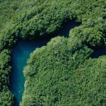 Choose earth, fenomenale docuserie dal 10 dicembre