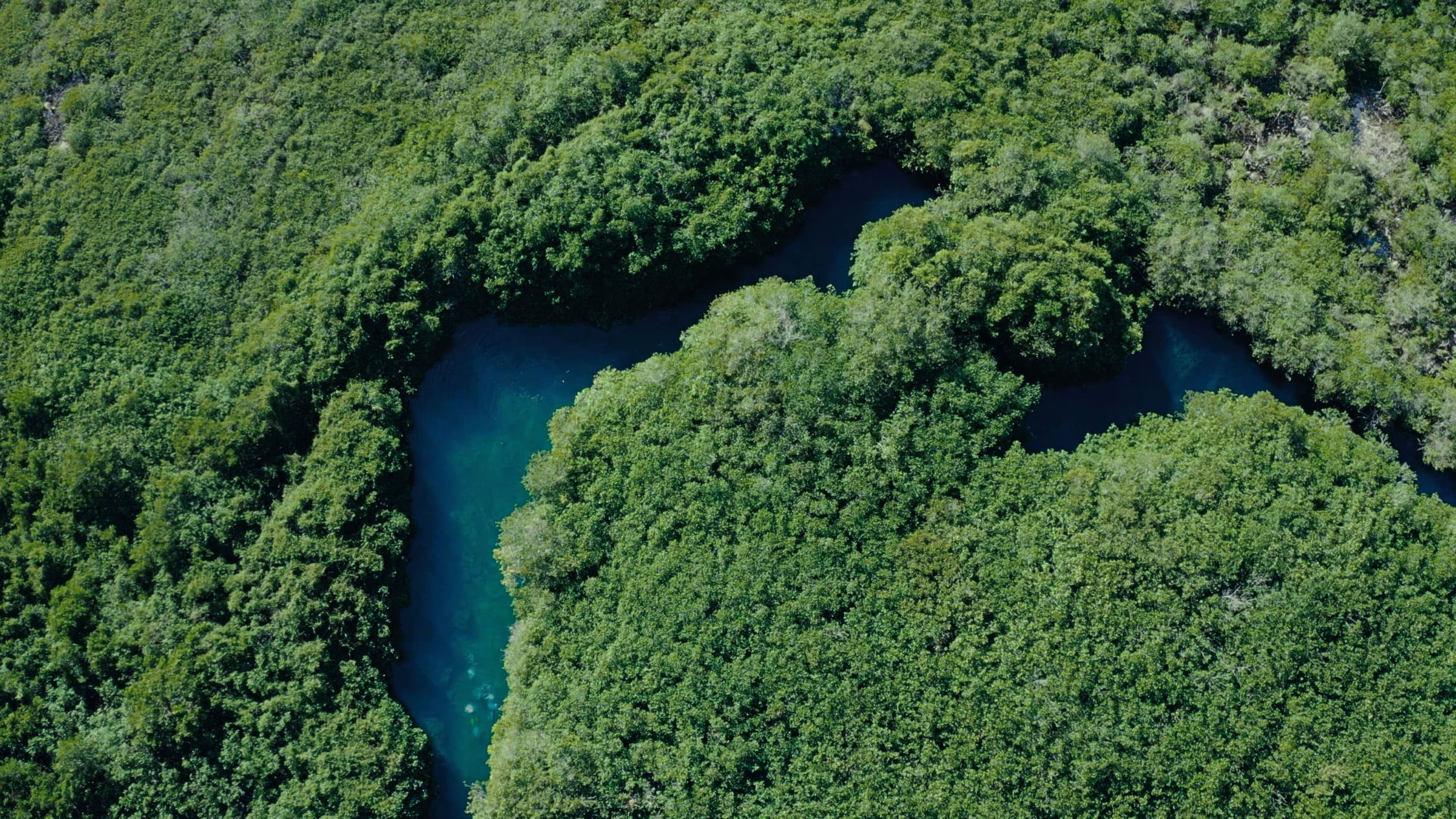 Choose earth, fenomenale docuserie dal 10 dicembre