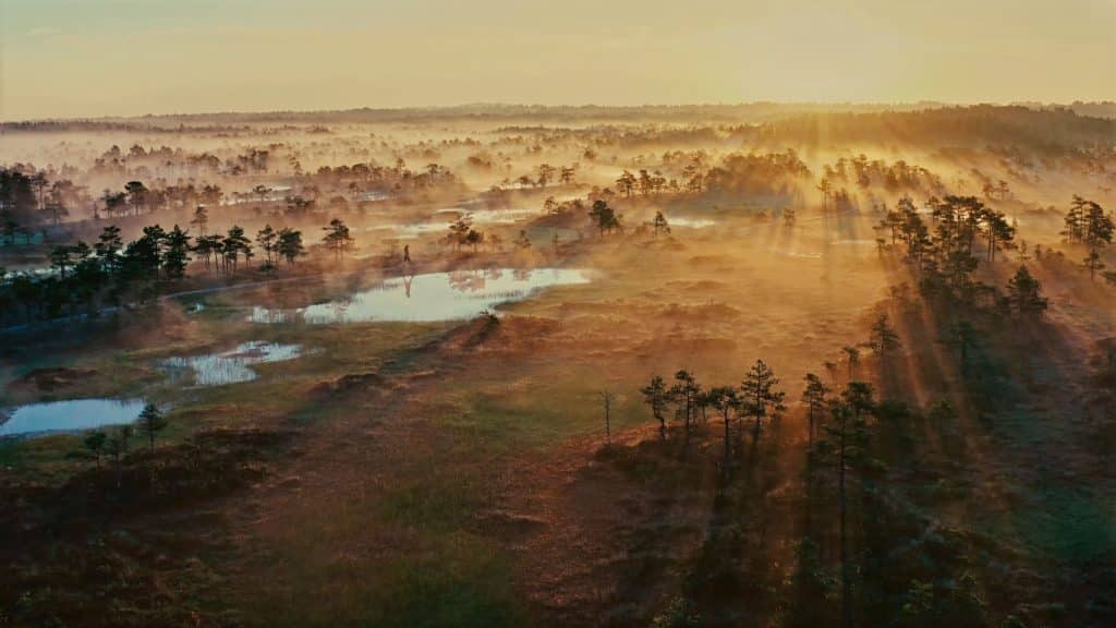 Choose earth, fenomenale docuserie dal 10 dicembre