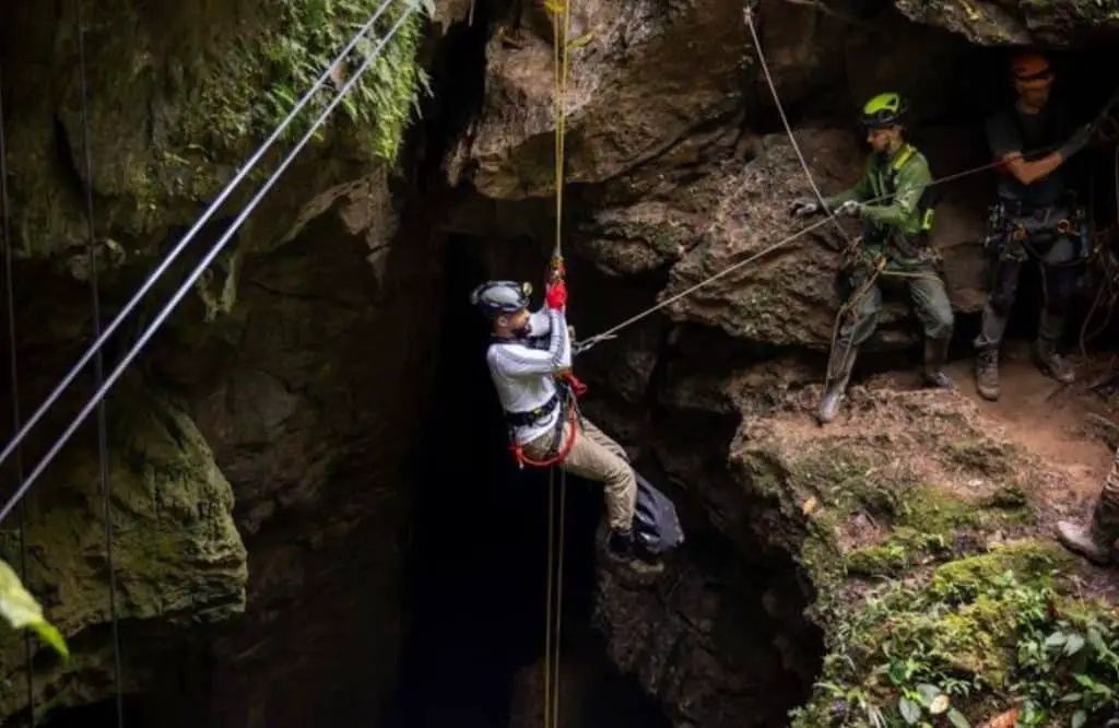 Dal polo sud al polo nord, la nuova serie national geographic con will smith Dal polo sud al polo nord disney+ episodi