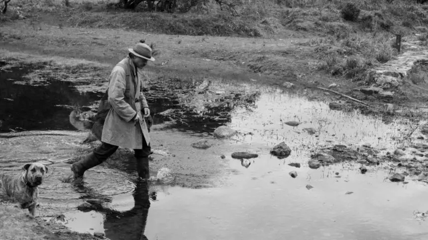 La scomparsa di josef mengele al cinema