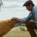 Pecore sotto copertura: dal 7 maggio al cinema