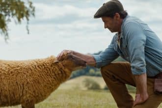 Pecore sotto copertura dal 7 maggio