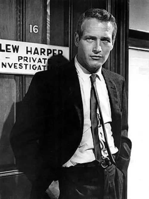Paul newman. Ritratto di un attore. L'uomo dagli occhi di ghiaccio tra vita e cinema (1925-2008)