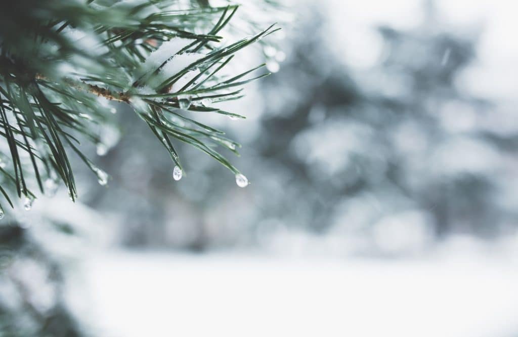 Gennaio 2026 quiz film