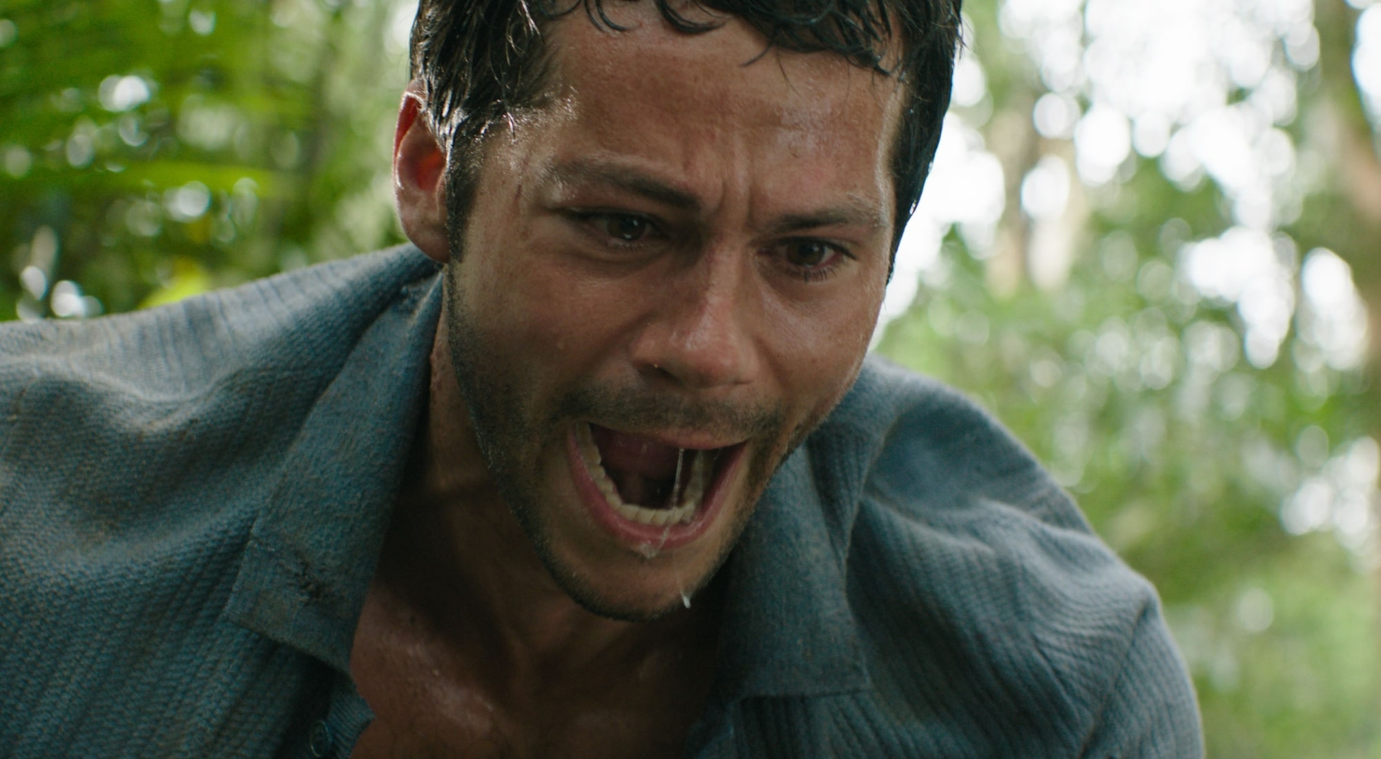 Send help, trailer e poster inediti: dal 29 gennaio nei cinema italiani