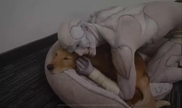 Jacob elordi: è il nuovo volto di hollywood