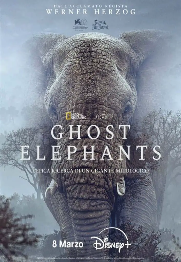 Ghost elephants disney+ release date