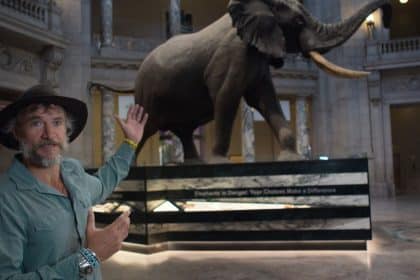 Ghost elephant disney+ steve boyes