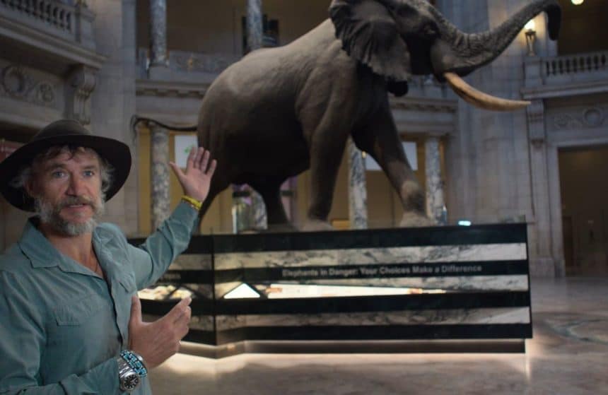 Ghost elephant disney+ steve boyes