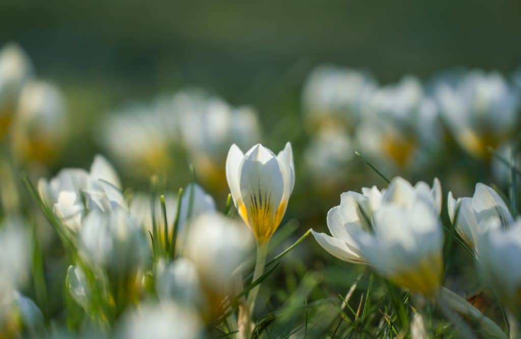 Marzo 2026 quiz film