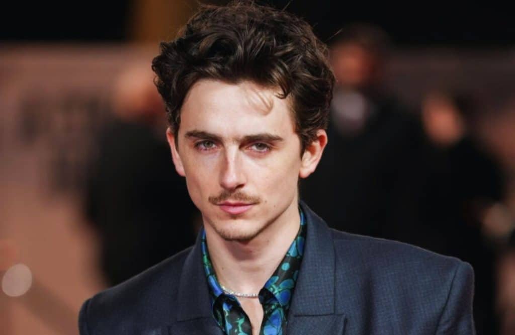Oscar 2026 timothée chalamet