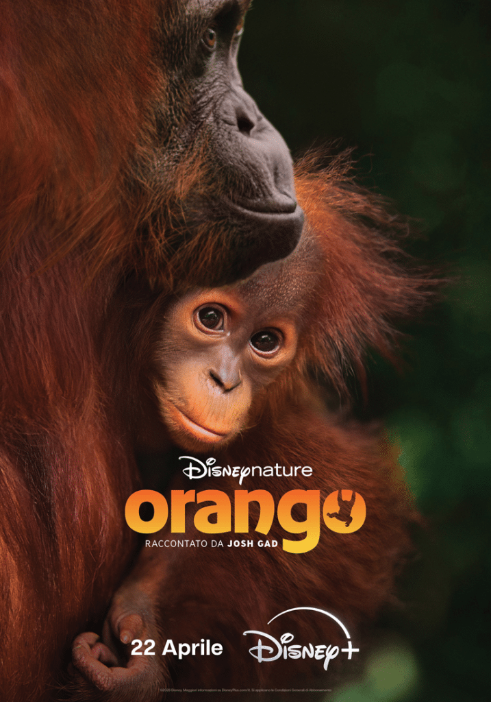 Orango poster