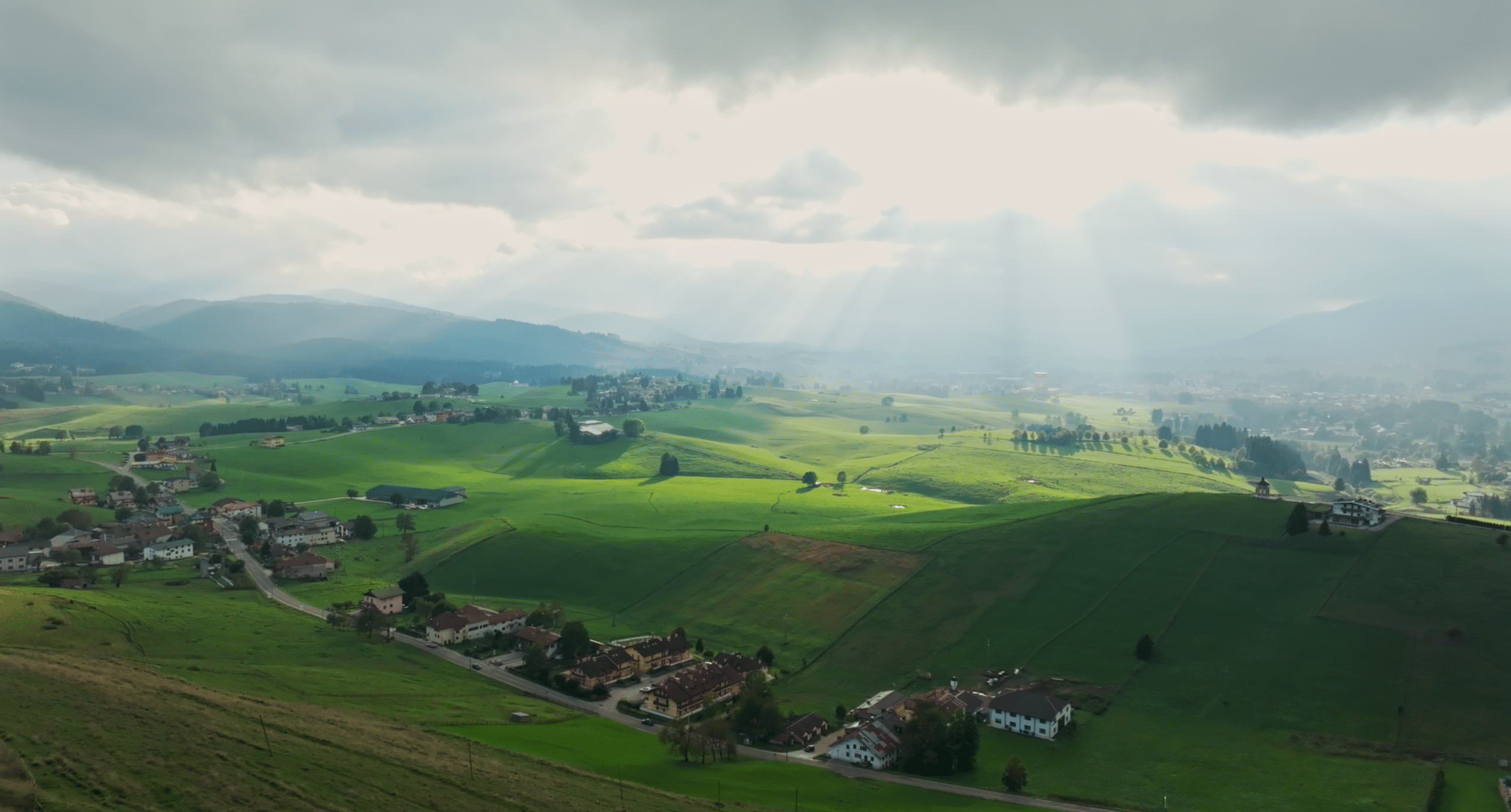 Forest - Il futuro ha radici antiche, il documentario in sala