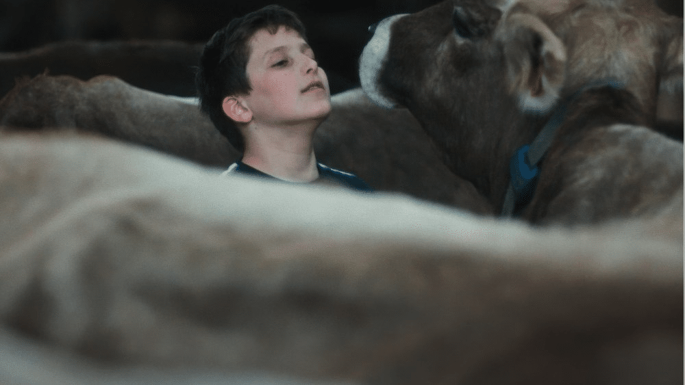 Gabin: il film francese scoperto a Cannes conquista la critica