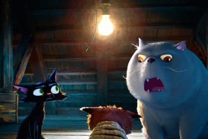 Gatto teaser trailer