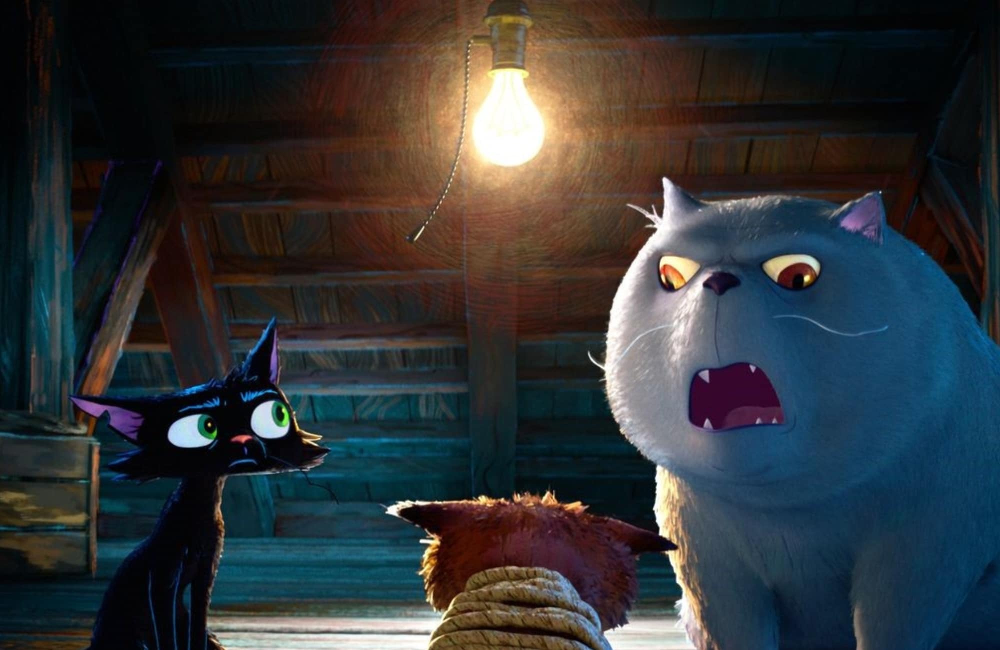 Gatto, il primo teaser del nuovo film d’animazione disney e pixar